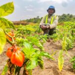 WhatsApp Image 2024-08-25 à 09.20.58_ac2702a6